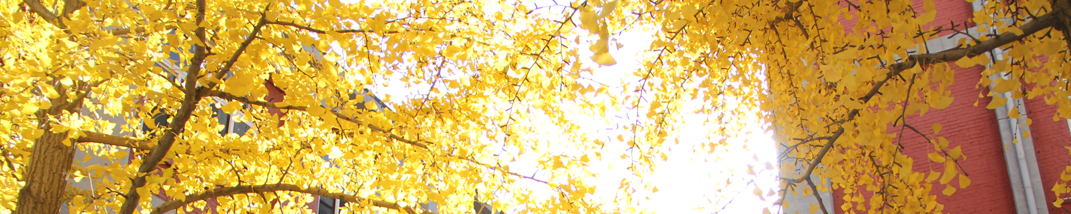 伟德国际1946源自英国