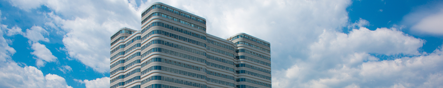 伟德国际1946源自英国