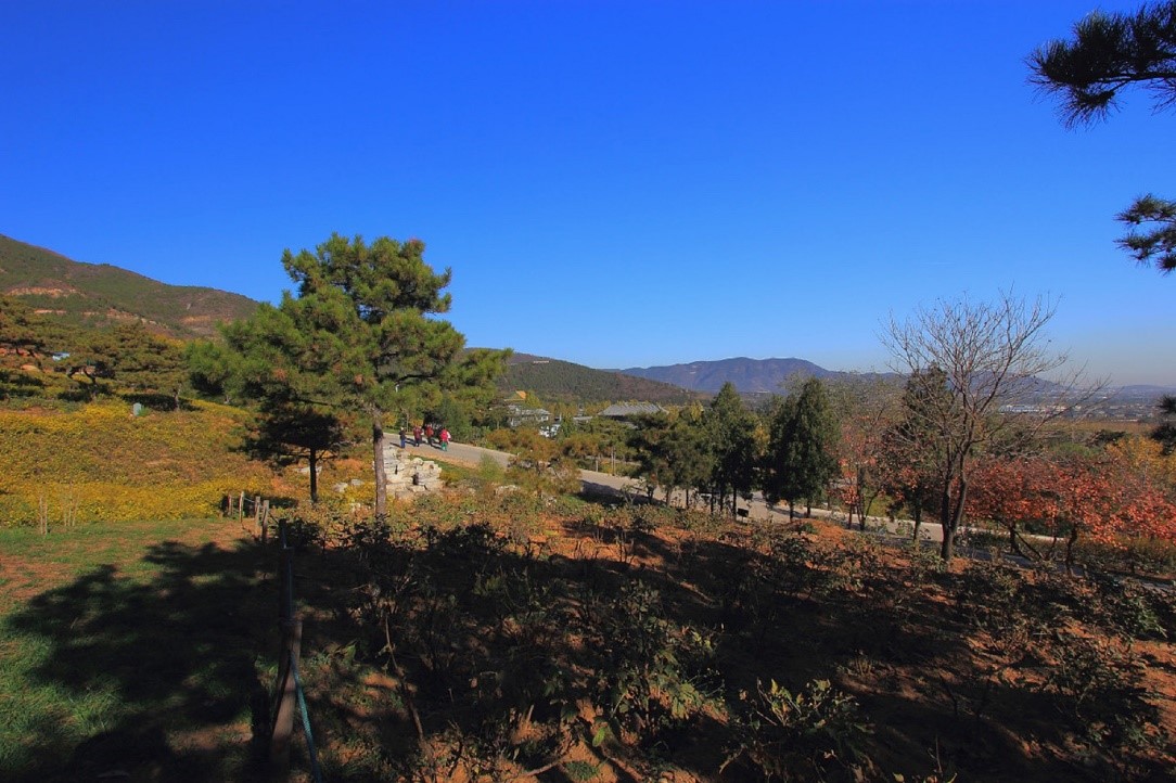 伟德国际1946源自英国